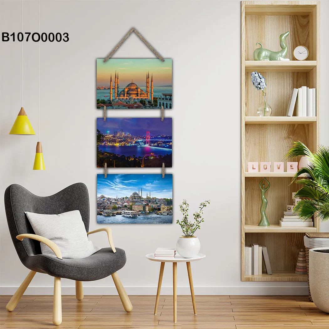 Modern Triptych , Hanging Paintings, Rope Hanging